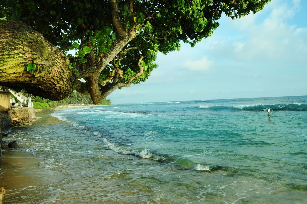 Villa Breeze Talpe Unawatuna Bagian luar foto